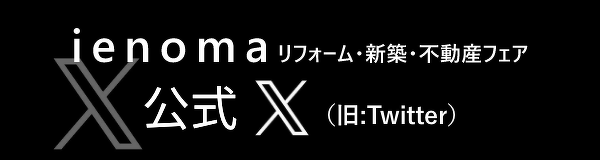 公式X